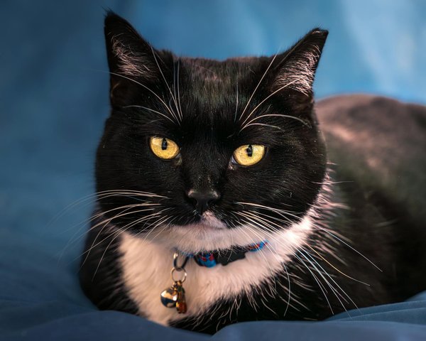 How can UK companies improve their employee retention rates during tough economic times?